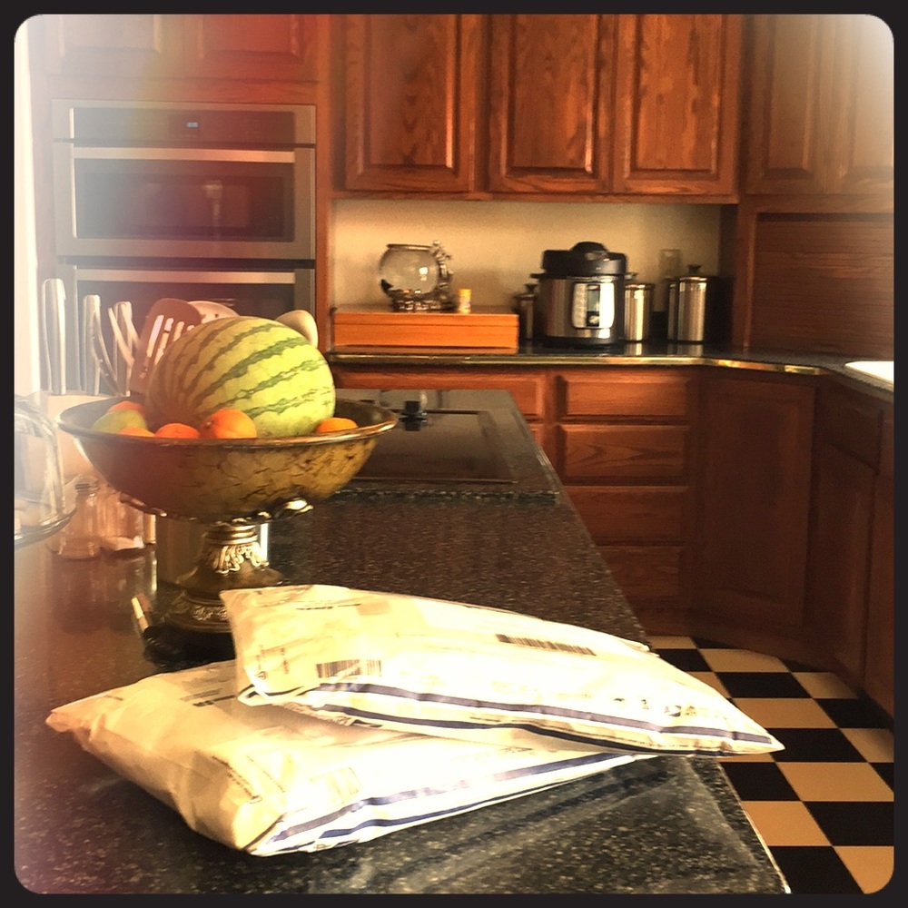 Dresses only $19 - shipped this morning!